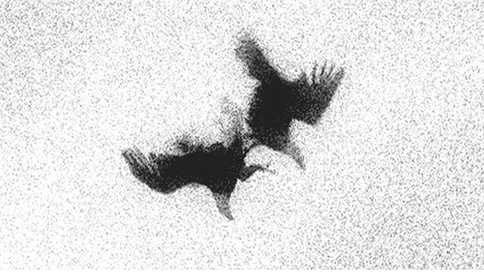 Didem Pekün, Zarlar ve insanlar videosundan bir kare, 2015 Didem Pekün'ün 2011'den bu yana üzerinde çalışmayı sürdürdüğü <i>Zarlar ve insanlar</i> videosundan bir kare