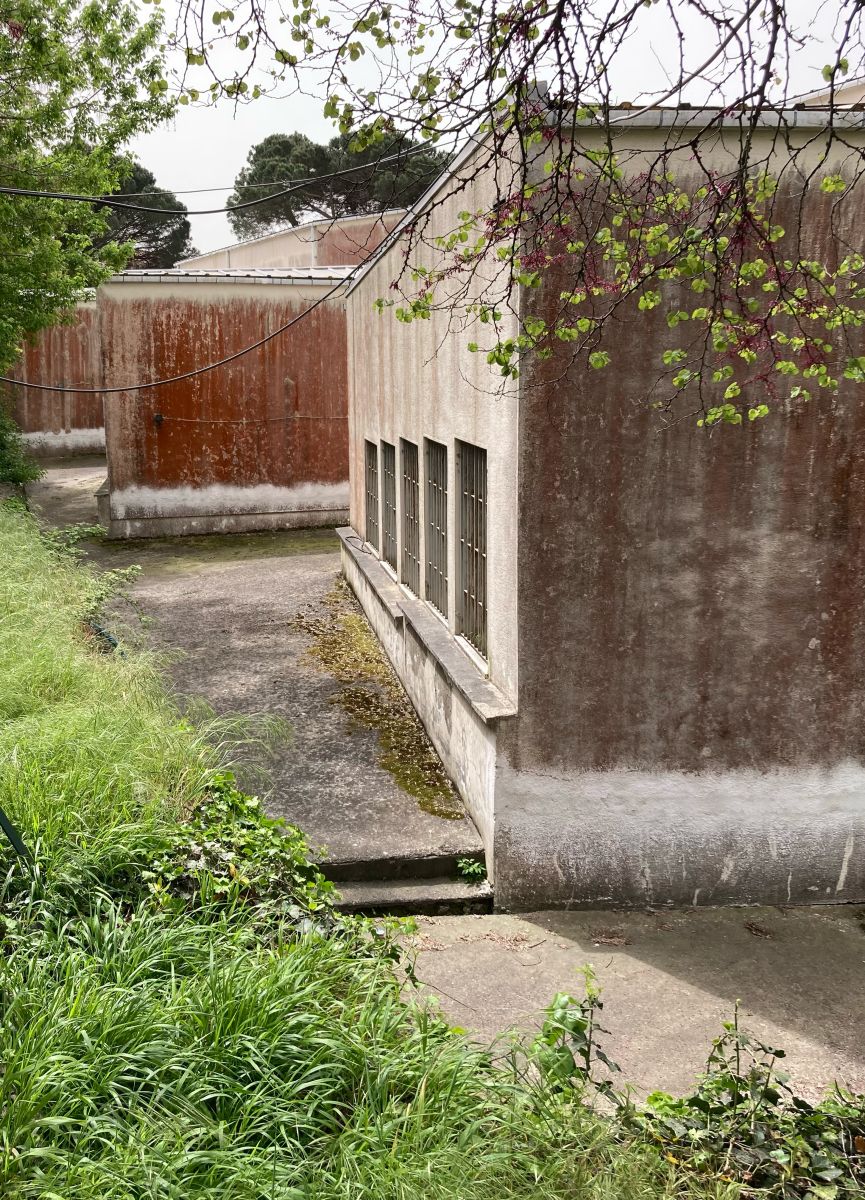 11 Img 7748 Edited Amfilerin arka cephesi