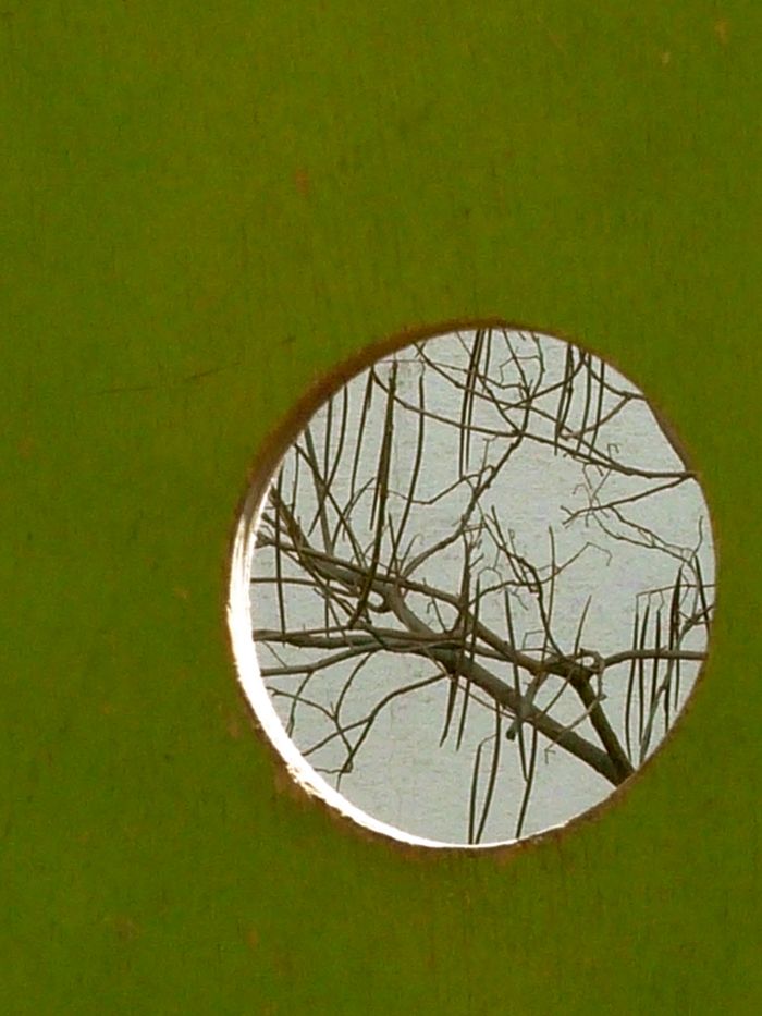 Peri Sharpe Fotograf: Peri Sharpe