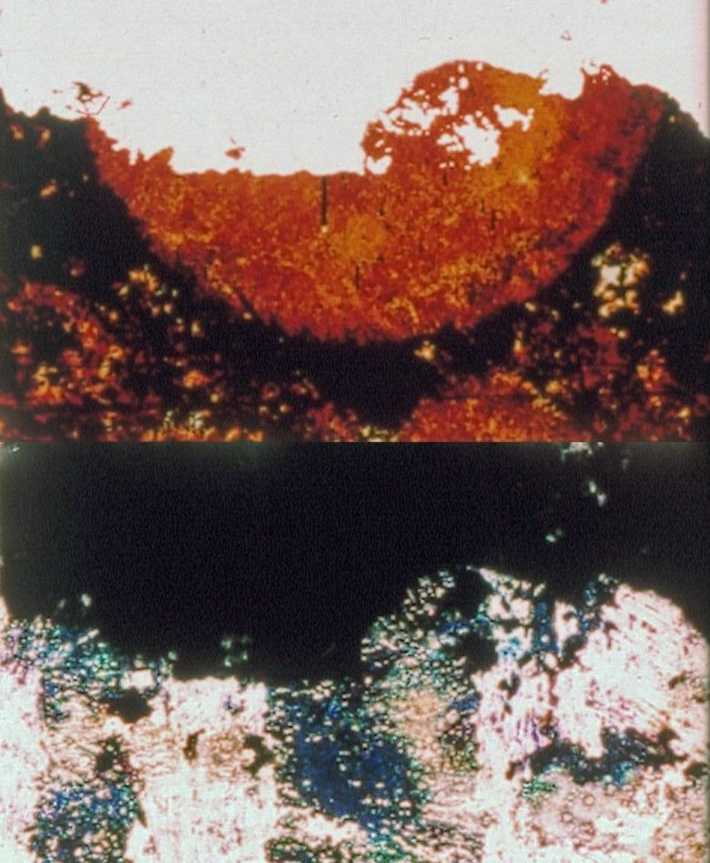 13 Parties Visible <i>Parties visible et invisible d’un ensemble sous tension</i> [Gerilim Altındaki Bir Bütünün Görünür ve Görünmez Parçaları] (2009) filminden bir kare
©Emmanuel Lefrant