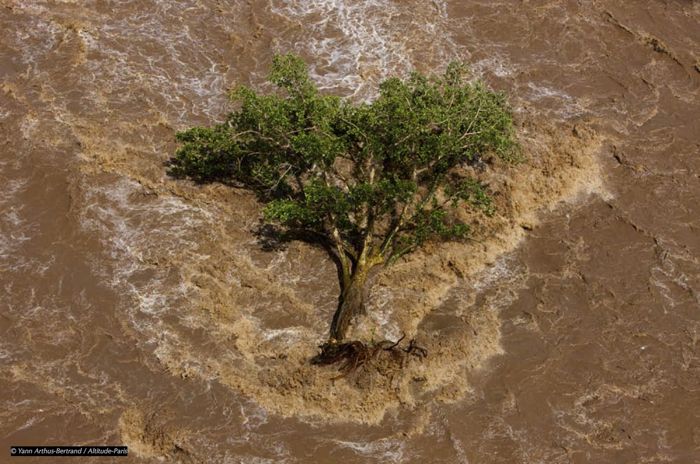 La soif du monde <i>La soif du monde</i> [Dünyanin susuzlugu] filminden görüntü