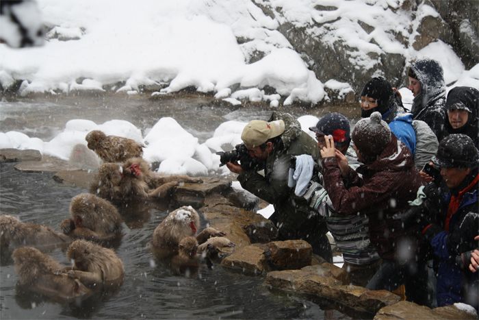  Kaynak: ESLnewscast.com, 2013 