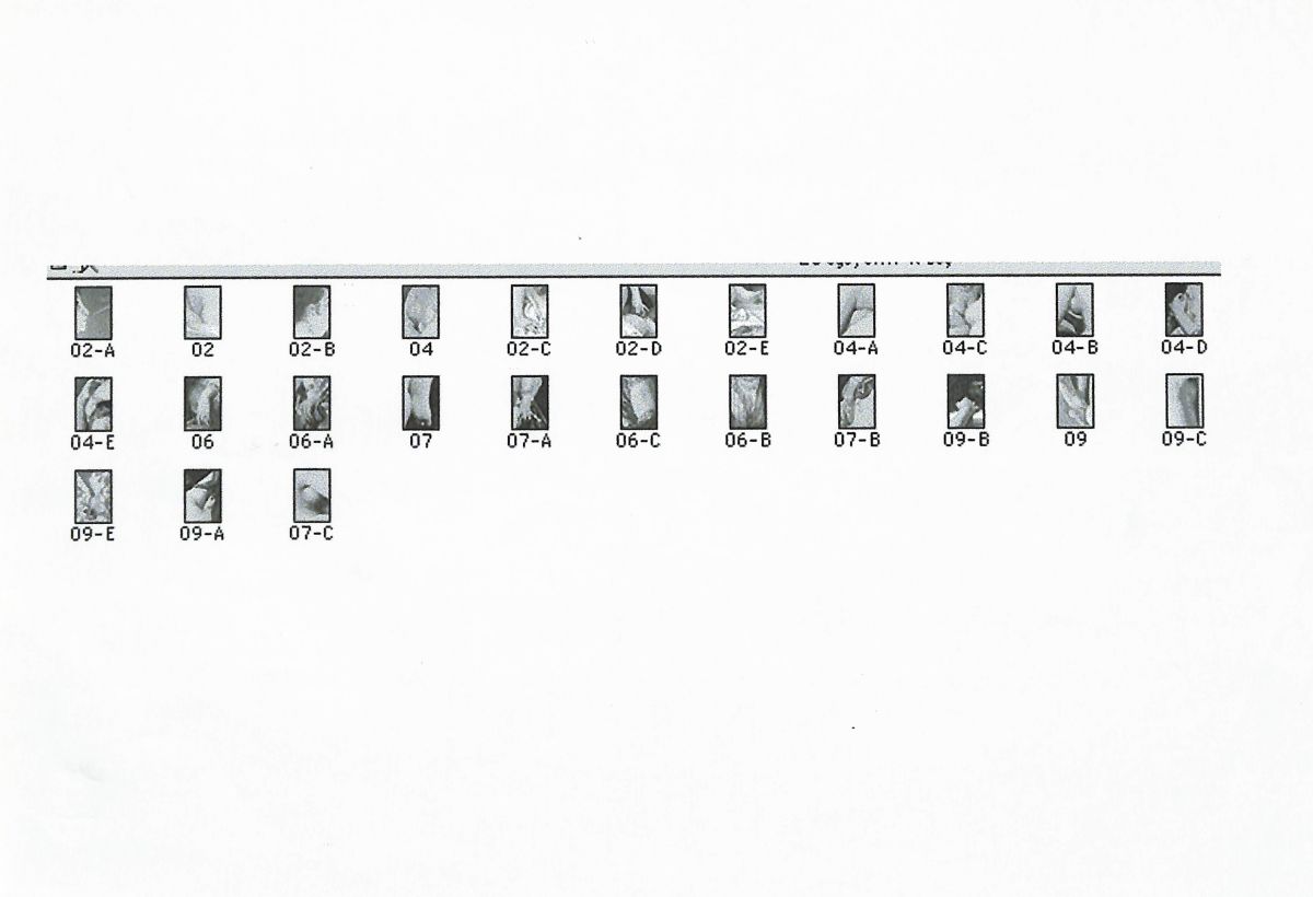 13 Karw907001 <i>Fragmanları Fragmanlamak</i>, (1999) işindeki görsellerin yerleştirme planları<br />
SALT Araştırma, Gülsün Karamustafa Arşivi