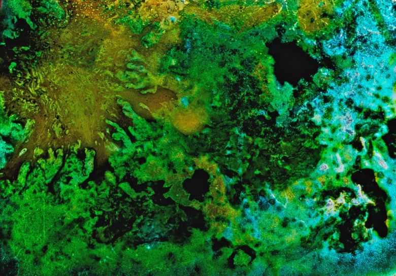 14 Landfill <i>Landfill 16</i> [Çöplük 16] (2011) filminden bir kare
©Jennifer Reeves