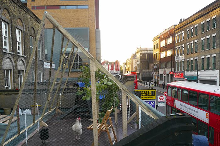 FARM:shop (2010) Something & Son’ın <i>FARM:shop</i> (2010) projesindeki tavuk kümesi