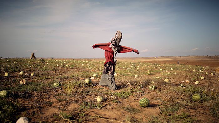  <i>Mevsim Sonu</i> (2014) filminden görüntü