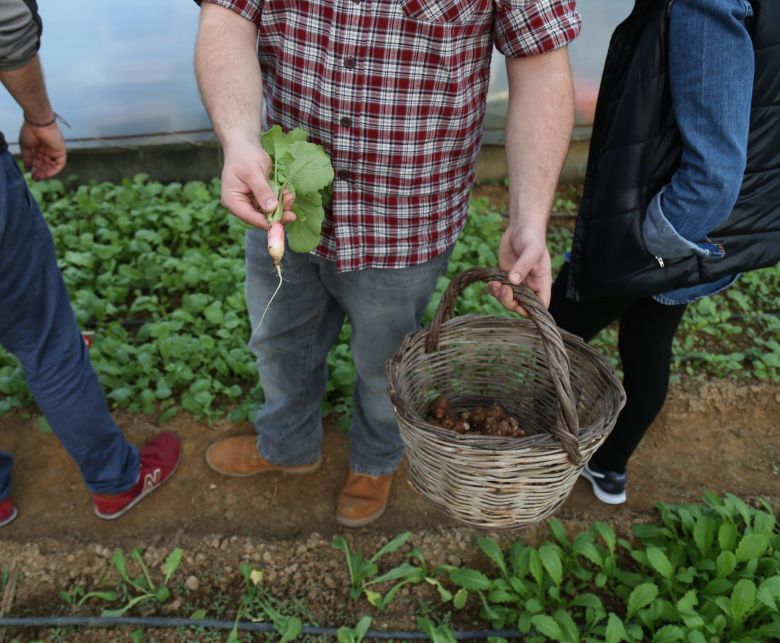 Şehrin Gıda Kahramanları 