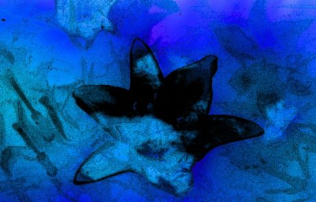 21 Blue Monet <i>Blue Monet</i> [Mavi Monet] (2006) filminden bir kare
©Carl Brown