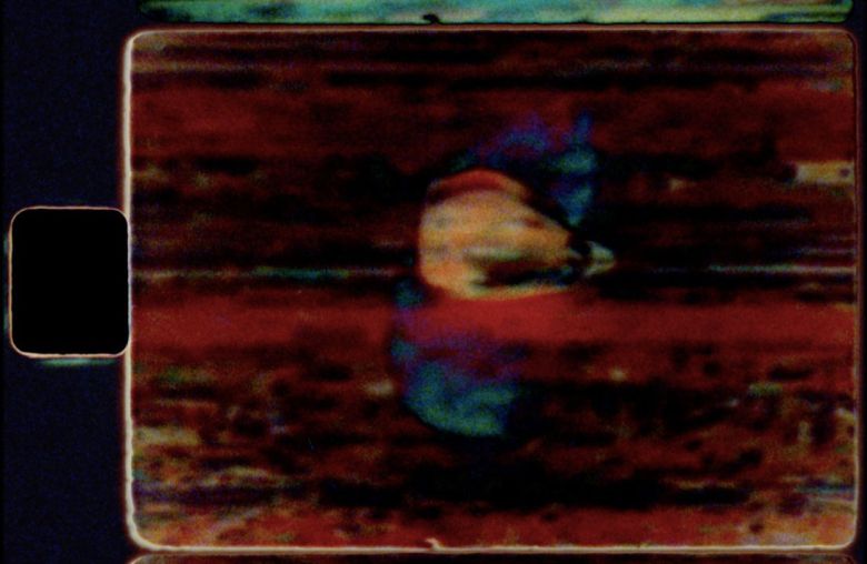 31 Seeds <i>Seeds</i> [Tohumlar] (2023) filminden bir kare
©Colectivo Los Ingrávidos