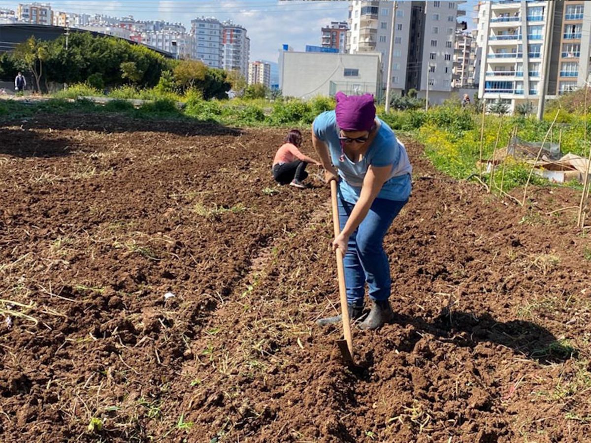 4 5 Solinova Üretici Kadın Kooperatifi’nde kentsel tarım, Mersin
Bediz Yılmaz’ın izniyle