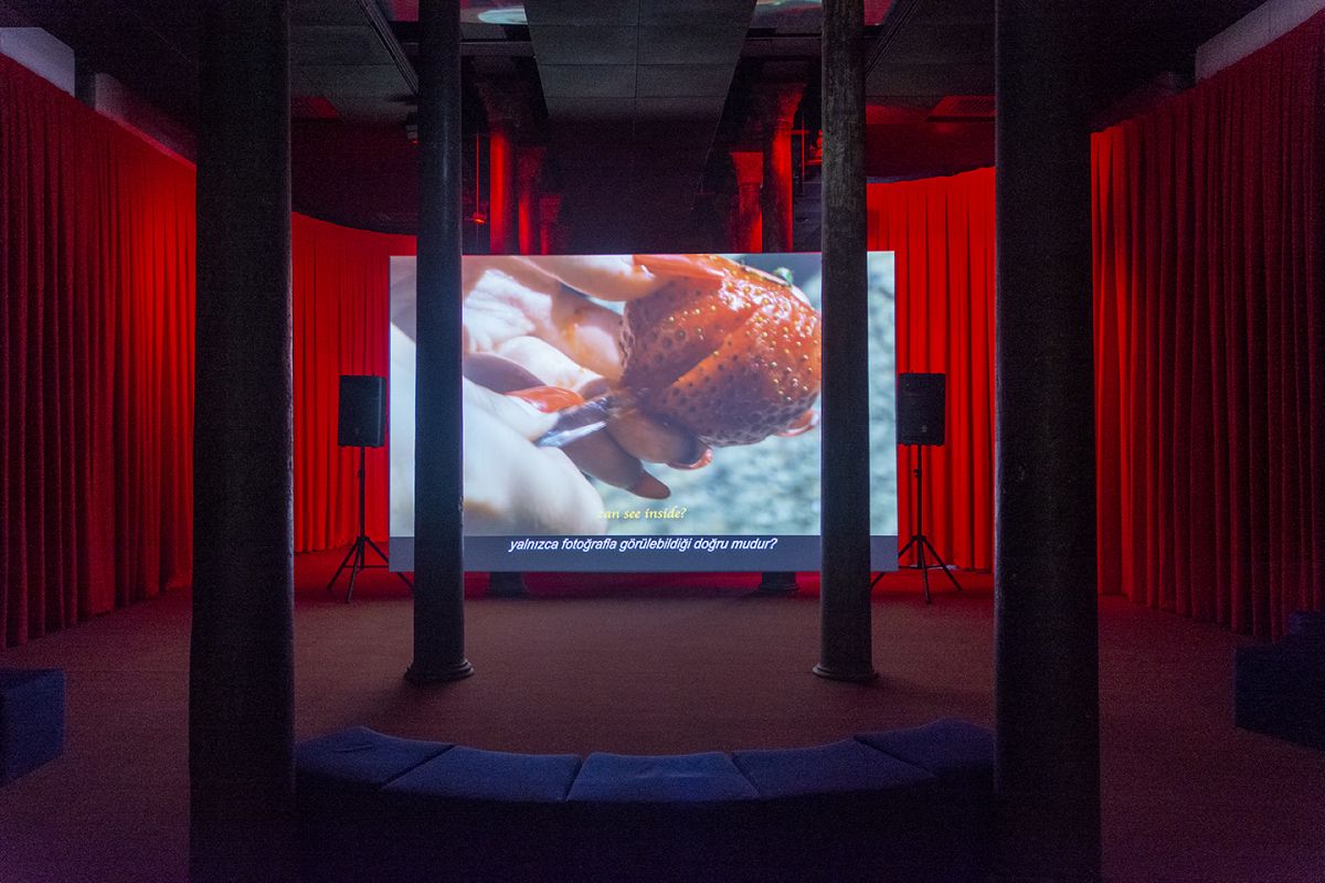 4 Dianeseverinnguyen Installationview Diane Severin Nguyen, <i>IF REVOLUTION IS A SICKNESS</i> [EĞER DEVRİM HASTALIKSA] (2021), <i>Bilinmeyene Doğru</i> sergisinden görünüm, Salt Beyoğlu, 2022 
Fotoğraf: Mustafa Hazneci (Salt)