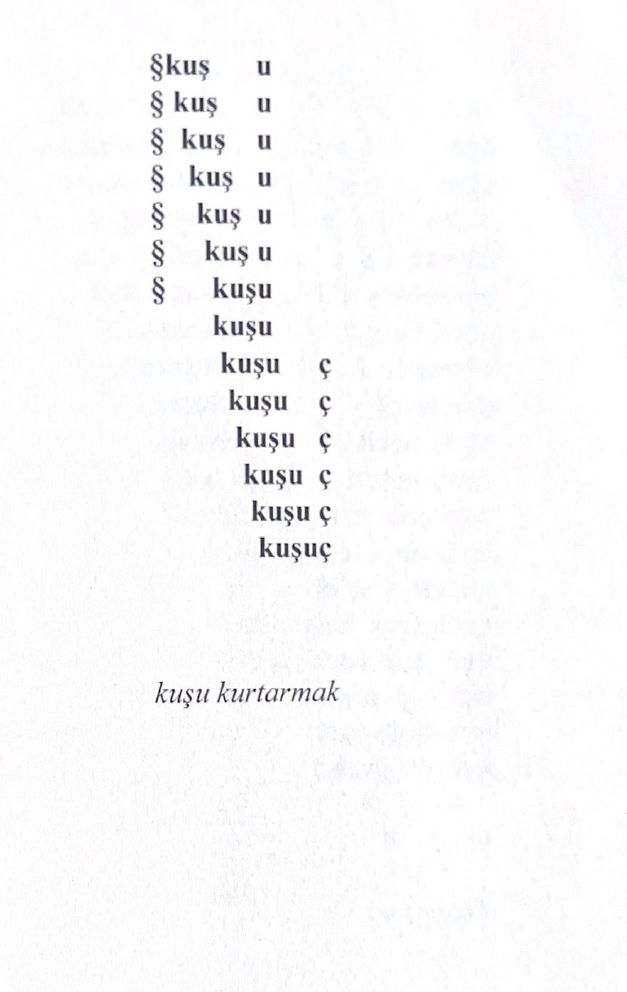 4 Kusu Kurtarmak 1968 Yuksel Pazarkaya <i>Kuşu Kurtarmak</i>, 1968