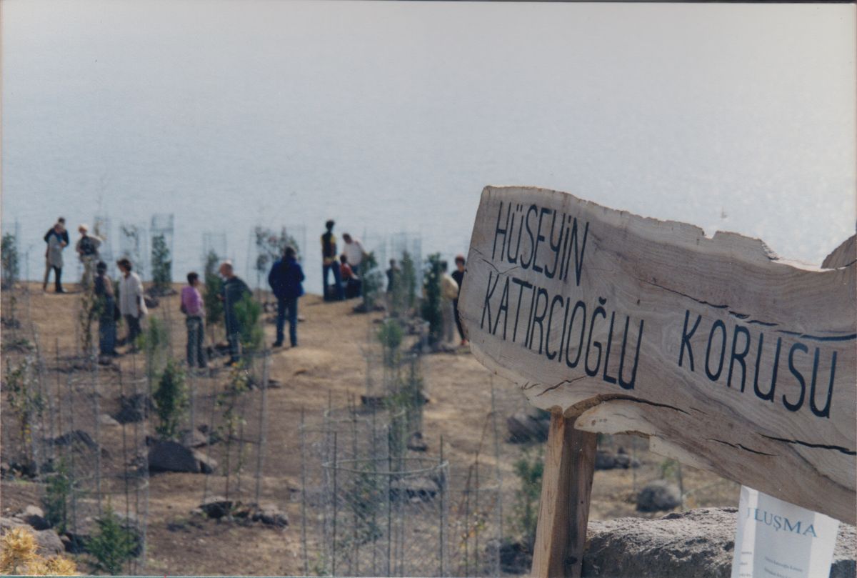 6 Assos H K Korusu Assos’taki Hüseyin Katırcıoğlu korusundan fotoğraf: Naz Erayda