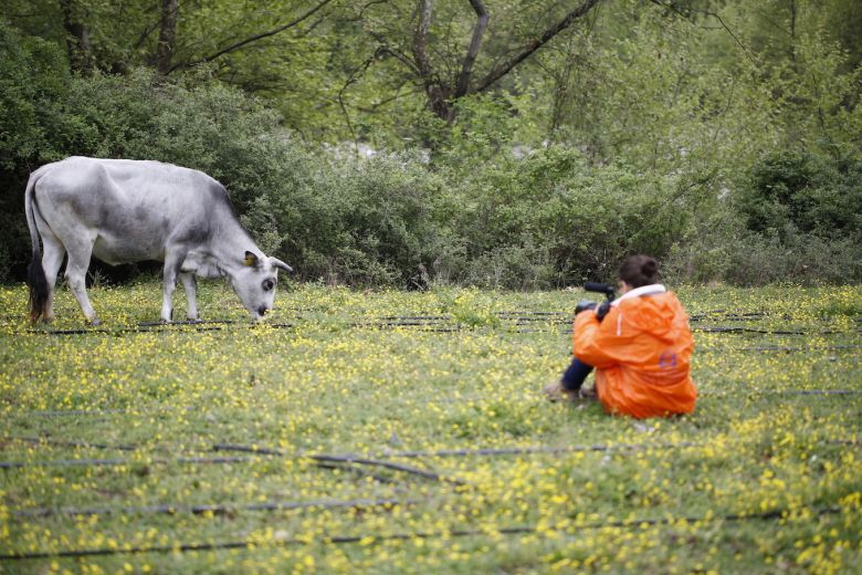 6 Kotutohum 2018 <i>Kötü Tohum</i> (2018) filminden bir kare
Yönetmenin izniyle