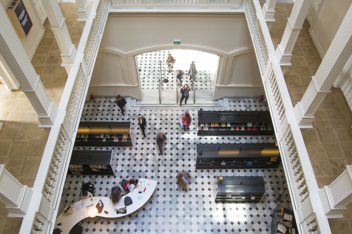 7 Salt Araştırma, 2017 (Fotoğraf: Mustafa Hazneci)