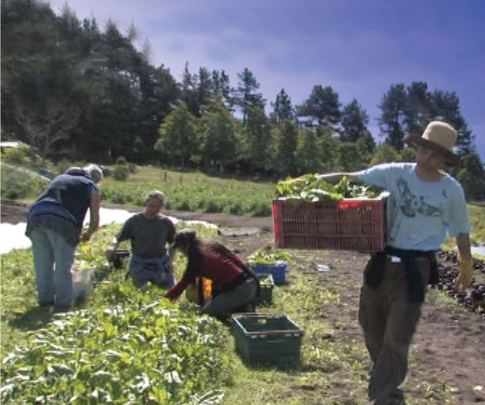 Dönüm Noktası: Yerel Topluma Dönüş 