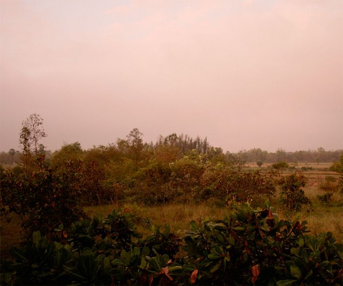 ABSORBING SURPLUS Fotograf: Joseph Redwood-Martinez (2012)