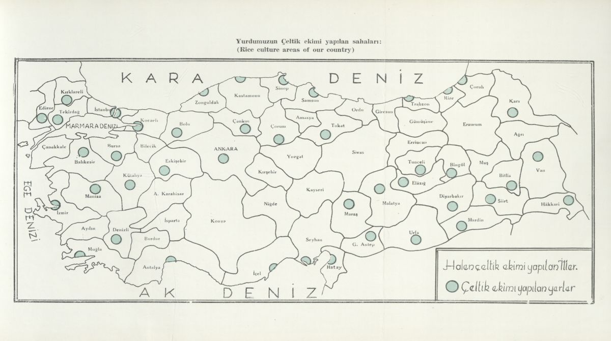 9 Celtik Ekimi Yaplan Sahalar Kaynak Suyev M 1953 Stma Savas Calsmalar Albumu Saglk Ve Sosyal Yardm Vekaleti Yaynlarndan No 162 Saglk Ve Sosyal Yardm Vekaleti S 52 Çeltik ekimi yapılan sahalar<br />
Midhat Süyev, <i>Sıtma Savaşı Çalışmaları Albümü</i>, İstanbul: Sağlık ve Sosyal Yardım Vekâleti, 1953, s. 52