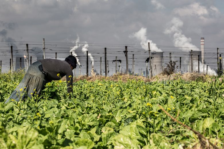 Ana Gorsel Mossville 2 <i>Mossville: When Great Trees Fall</i> [Mossville: Ulu Ağaçlar Devrildiğinde] (2019) filminden bir kare ©Fire River Films