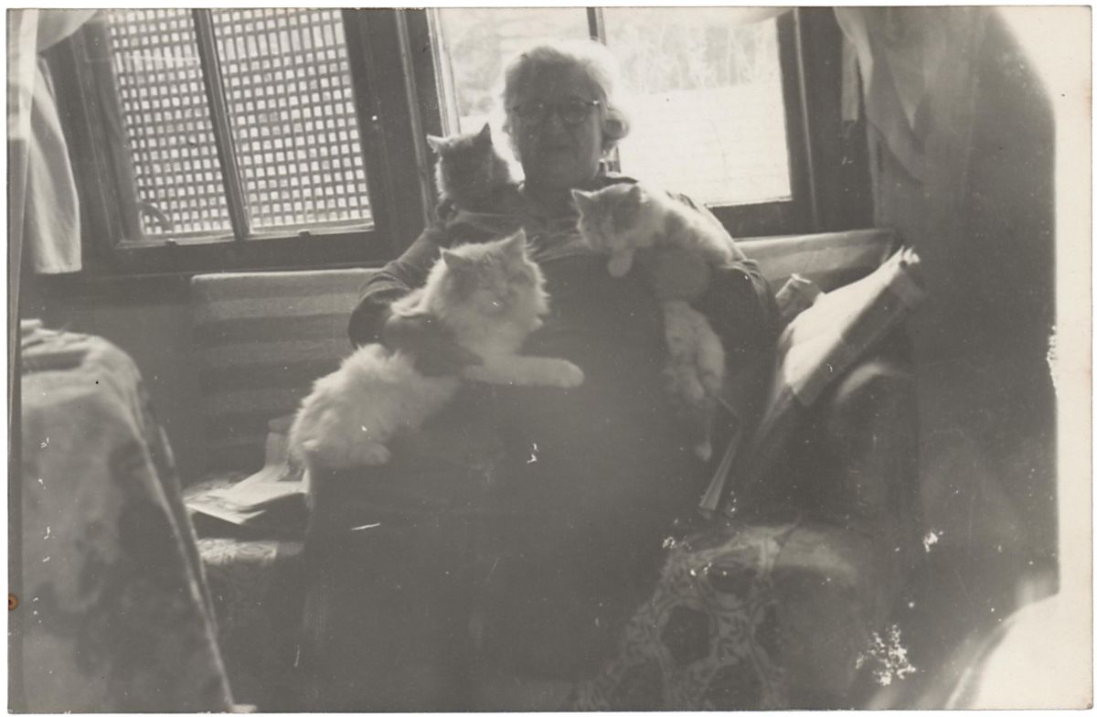 B11 205 002 Reşad Ekrem Koçu’nun ablası ile kedileri<br />
Kadir Has Üniversitesi Bilgi Merkezi – Salt Araştırma, Reşad Ekrem Koçu ve İstanbul Ansiklopedisi Arşivi<br />
