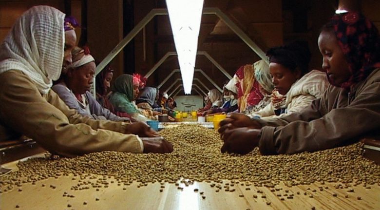 Blackgold 2006 <i>Black Gold</i> (2006) filminden bir kare ©Speakit Films