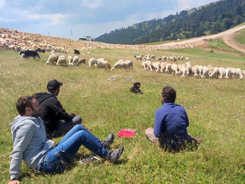 Coksoylerbuyukgungor 2 Keles’teki bir otlak, Bursa, 2023<br />
Fotoğraf: Gökberk Teneler