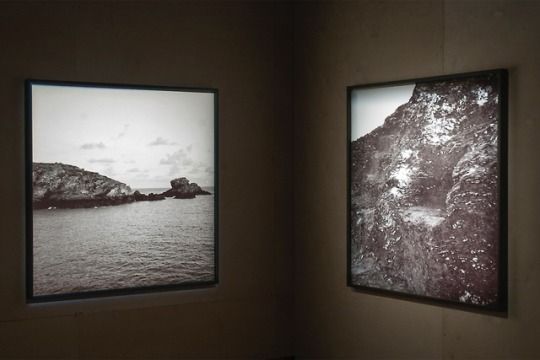 Collection 1 Installation view: Christodoulos Panayiotou, Le Fauteuil de Sarah Bernhardt. <i>Every Inclusion is an Exclusion of other Possibilities</i>, SALT Beyoğlu. Photo: Mustafa Hazneci, 2015