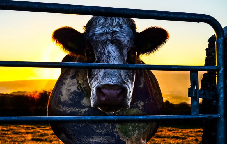 Cowspiracy (2014) filminden bir kare ©Cowspiracy  <i>Cowspiracy: The Sustainability Secret</i> [Sürdürülebilirliğin Sırrı] (2014) filminden bir kare ©Cowspiracy 