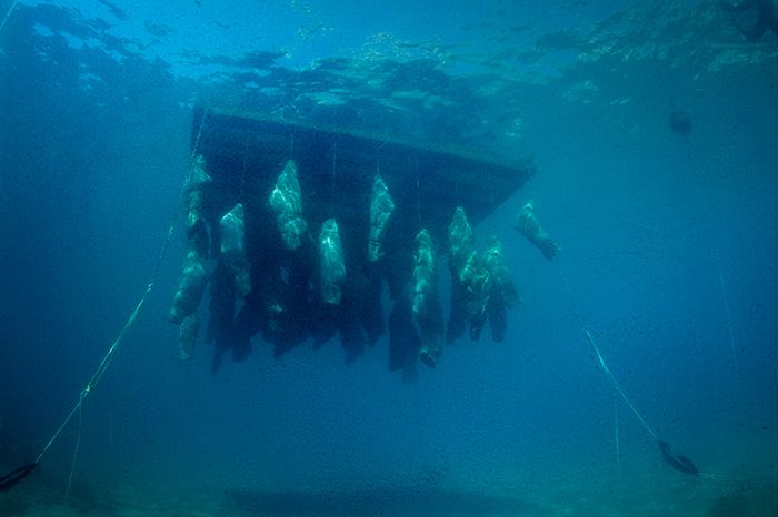 Nikolaj Bendix Skyum Larsen, End of Dreams, 2015 Nikolaj Bendix Skyum Larsen, <i>End of Dreams</i> [Düşlerin Sonu], 2015
Sala bağlı heykeller
Fotoğraf: Domenico Gallelli (2014)