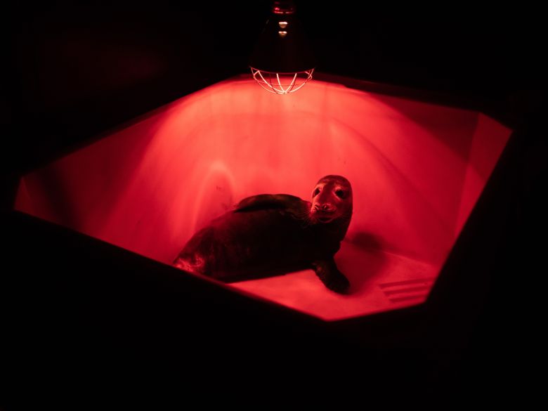 From The Wild Sea 1 <i>From the Wild Sea</i> [Vahşi Denizlerden] (2021) filminden bir kare 
©DR Sales