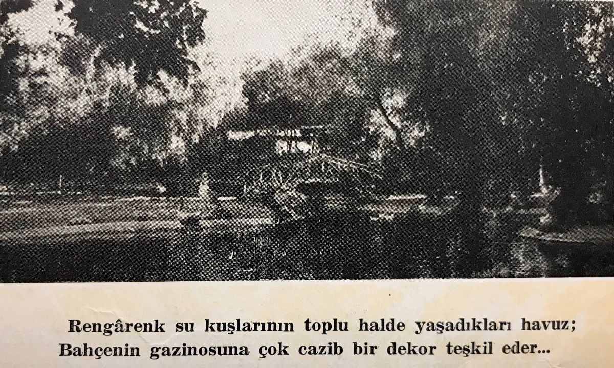 Gorsel 6 2023 07 28 00 11 Türkiye Cumhuriyeti Tarım Bakanlığı, <i>Atatürk Orman Çiftliği</i>, İstanbul: İstanbul Matbaası, 1953, s. 53<br /><br />
