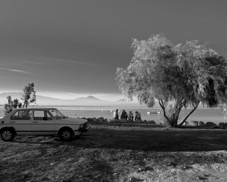 Gorsel Image 4 Gueros 2014 <i>Güeros</i> (2014) filminden bir kare ©Mundial Films