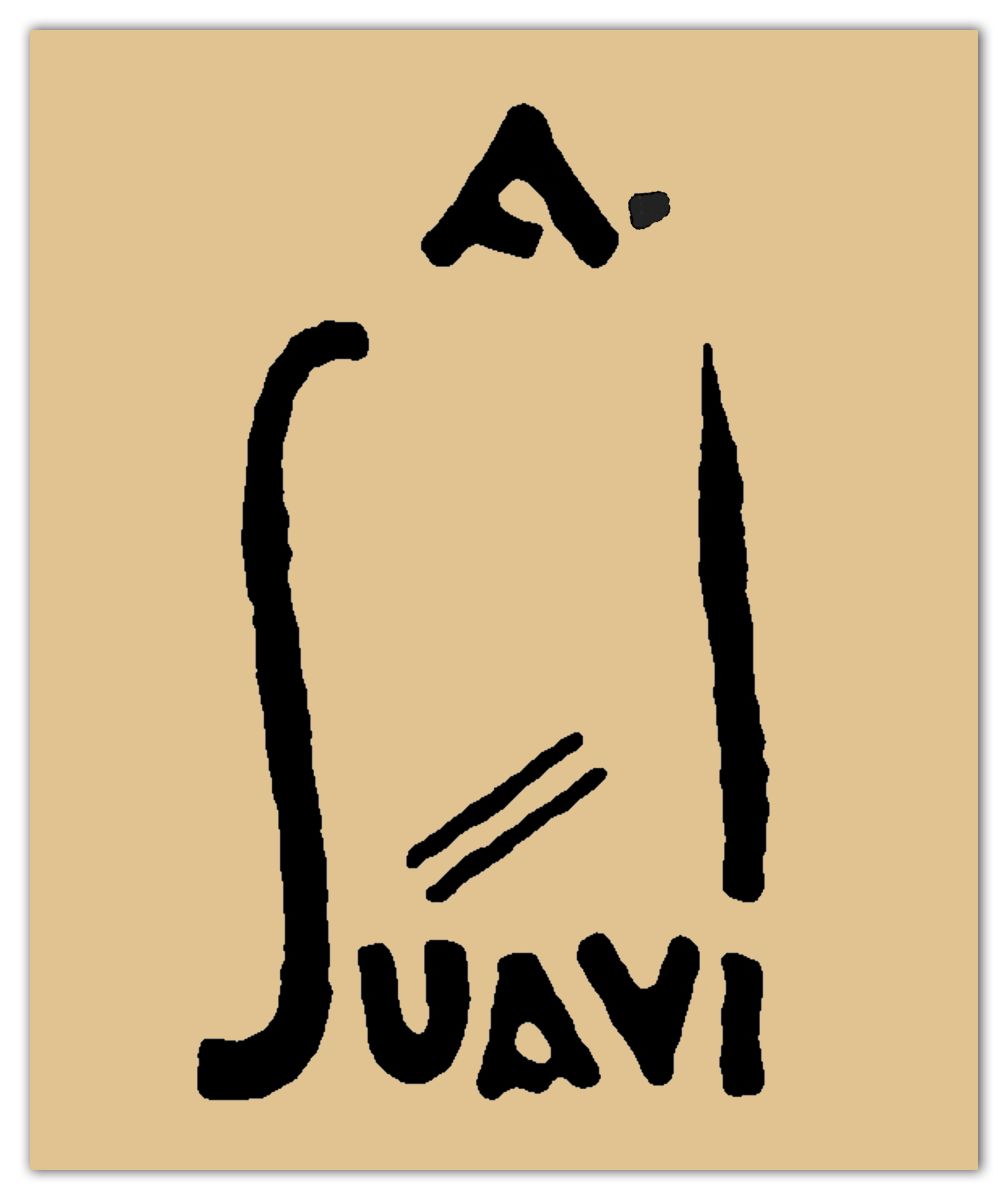 Gorsel13 Ali Suavi Imza Ali Suavi imzası