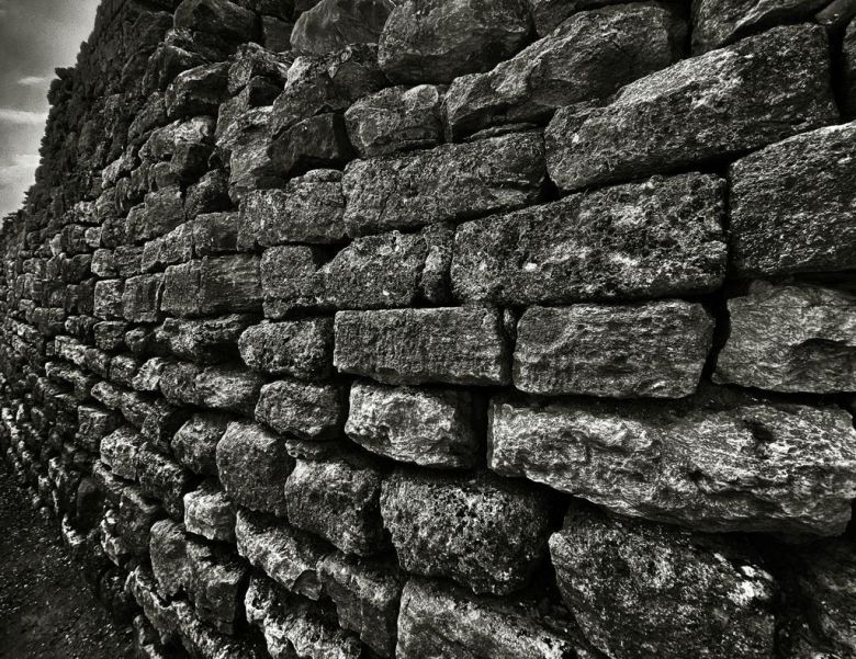 Image 20221118 112032 512 Fotoğraf: Sanem Yazıcıoğlu