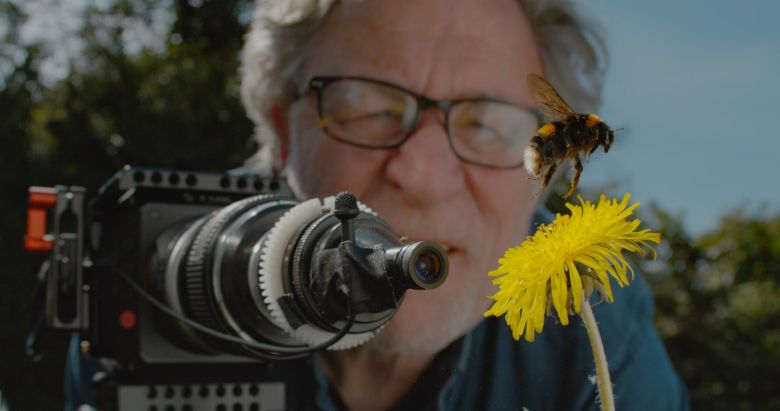 Imgi 17 Martin Dohrn Filming A Bumble Bee Hovering Over A Dandelion Credit Martin Dohrn Passion Planet <i>My Garden of a Thousand Bees</i> [Bin Arılı Bahçem] (2021) filminden bir kare
©Martin Dohrn, Passion Planet
