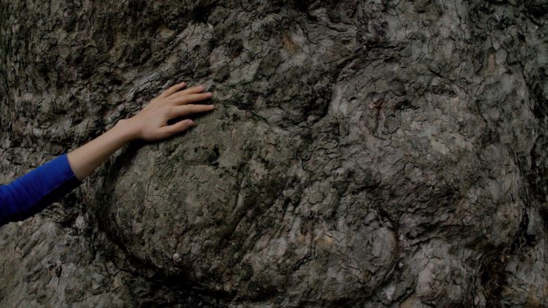 Jasminihrac 2019 Jasmin İhraç’ın 2019 tarihli filmi <i>Daimî Değişimler, Sessiz Tanıklar</i>’dan bir kare