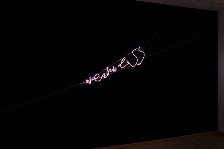 Joannarajkowska 2016 Joanna Rajkowska, <i>Weakness</i> [Zayıflık], 2016
<i>Emre Hüner / Joanna Rajkowska</i> sergisinden, SALT Ulus, 2016
Fotoğraf: Cemil Batur Gökçeer