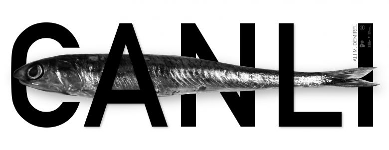 Konuşma: Ali M. Demirel 