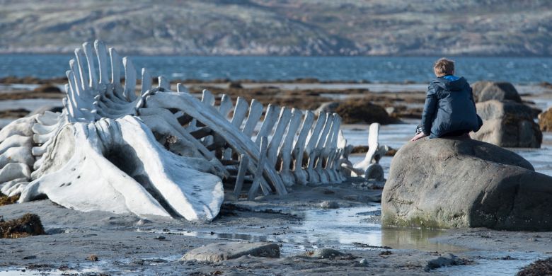 Leviafan 2014 <i>Leviafan</i> [Leviathan] (2014) filminden bir kare ©Calinos Films