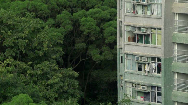 Many Undulating 3 <i>Many Undulating Things</i> [İnişli Çıkışlı Birçok Şey] (2019) filminden bir kare ©BÖC Features<br />
