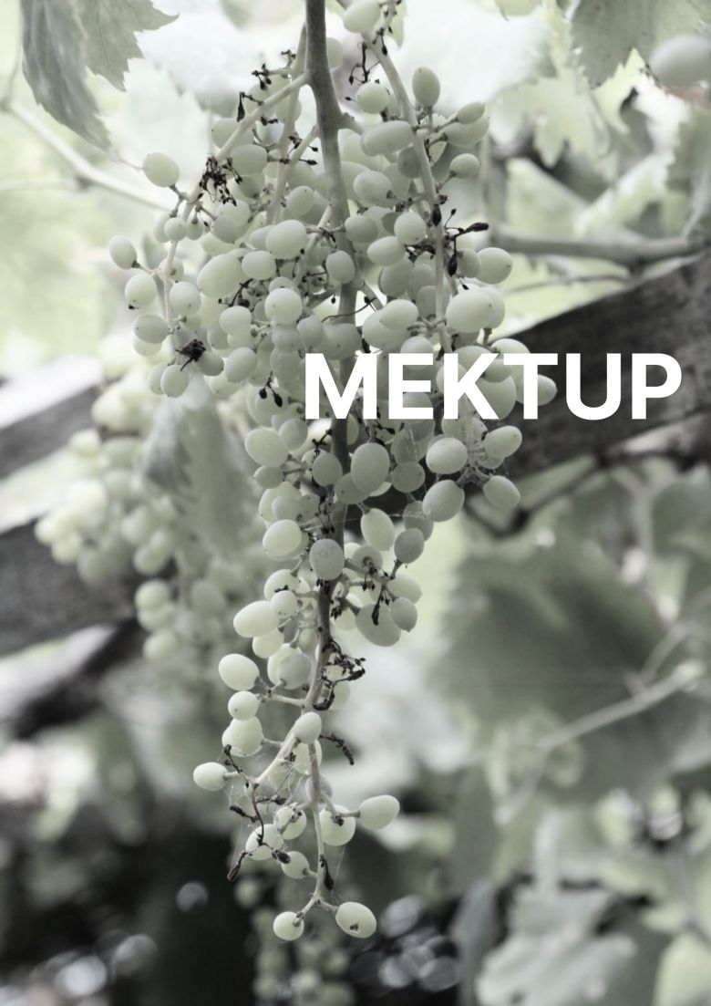 Mektup Afis Aeigis Fotoğraf: Şima Uyar (Tasarım: Ezgi Türker)