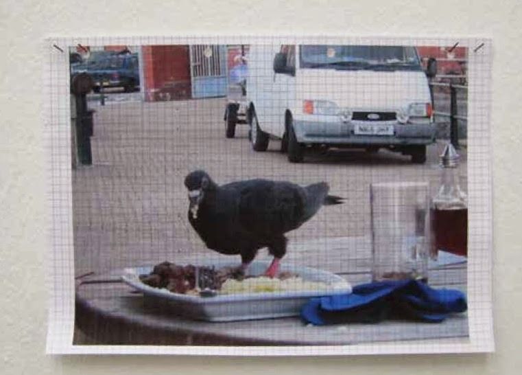 Pigeons Hero Can Altay, ‘This Pigeon went to the City’, ‘This Pigeon went to the Forest’, 2008
Künstlerhaus Bethanien, Berlin