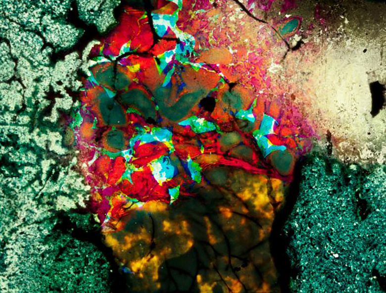 Reeves Landfill 16 2011 Jennifer Reeves’in <i>Landfill 16</i> [Çöp Sahası 16] (2011) video işinden bir kare
Sanatçının izniyle