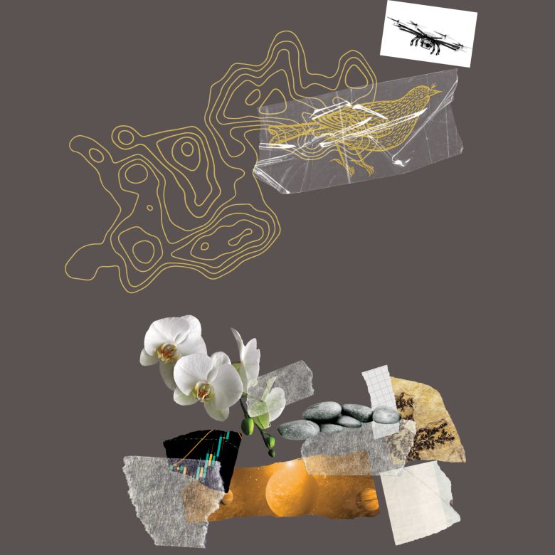 Salt Kolaj İllüstrasyon: Kolektif Grafik <br />
