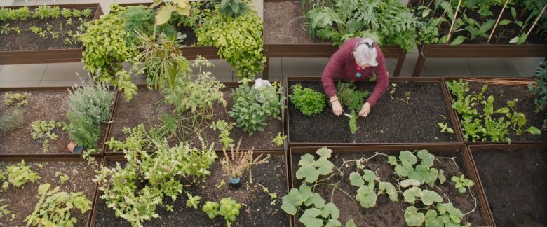 Screenshot 2025 10 31 At 181719 <i>Where We Grow Older</i> [Yaşlandığımız Yer] (2023) filminden bir kare
©Canadian Centre for Architecture