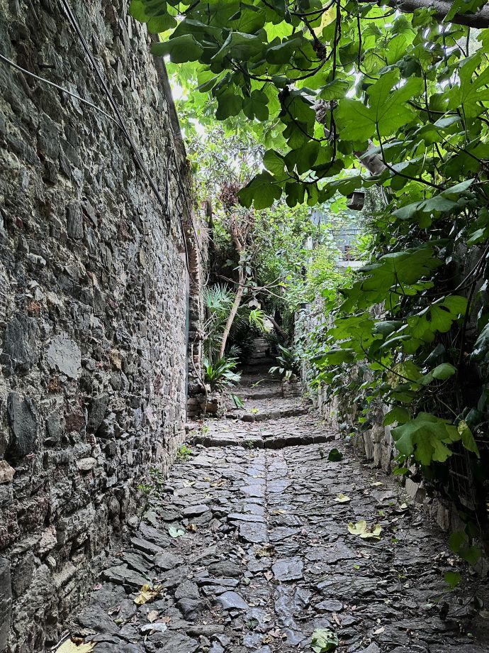 Sevinccalhanoglu Meydanda Bir Elma Cicegi Gorsel Fotoğraf: Sevinç Çalhanoğlu<br />
