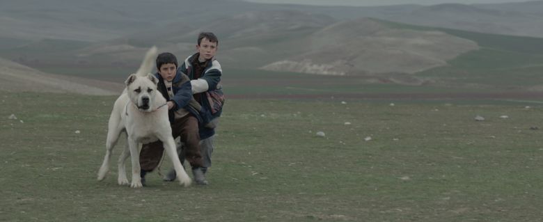 Sivas 2 <i>Sivas</i> (2014) filminden bir kare ©Colored Giraffes