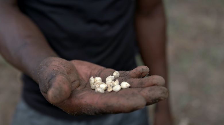 Soyalism 2018 <i>Soyalism</i> [Soyalizm] (2018) filminden bir kare ©Java Films