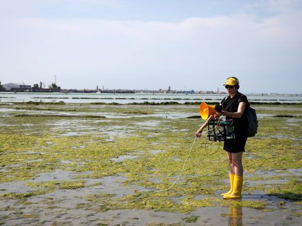 Swamp School Hybrid Radio By Nicole Lhuillier Photo Gabriele Urbonaite 1 Nicole L’Huillier’in <i>The Swamp School</i>’da [Bataklık Okulu] yer alan <i>Hybrid Radio</i> (2018) adlı çalışması
Fotoğraf: Gabriele Urbonaite