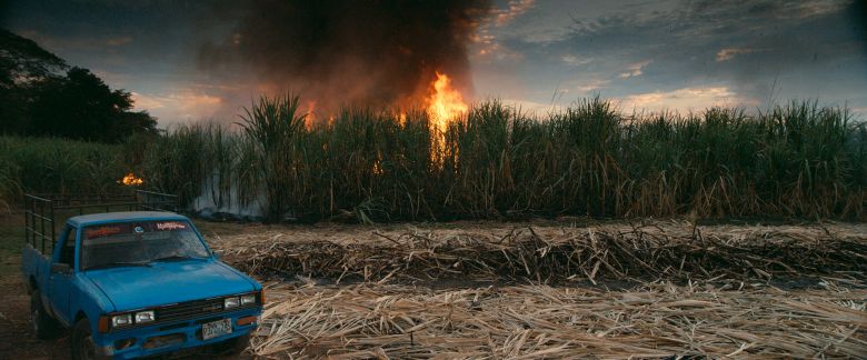 This Changes Everything (2015) filminden bir kare <i>This Changes Everything</i> [Bu Her Şeyi Değiştirir] (2015) filminden bir kare ©FilmBuff